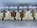 农夫山泉东方树叶桂花乌龙茶335ml*24瓶无糖茶饮料0糖0脂0卡【金秋限定】 实拍图