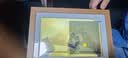 KODAK柯达 1018W 数码相框10.1英寸高清电子相册摆台结婚礼物照片视频自动循环播放器 送长辈礼物 木色 实拍图