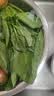 大菠菜300g 实拍图