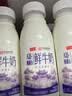 卫岗鲜牛奶 原生A2β-酪蛋白鲜奶260mL*6瓶 巴氏杀菌 亲和好吸收 实拍图