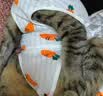 欢宠网宠物猫咪绝育服猫手术服母猫衣服断奶术后恢复猫猫小猫透气防舔衣 实拍图