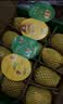 佳沛（zespri）新西兰金奇异果10粒巨大果146-175g猕猴桃水果礼盒 实拍图