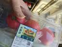 【水果菜】童年味道西红柿约1kg 实拍图