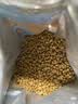皇家英短成猫粮 BS34 通用粮 12月以上 4.5KG 实拍图