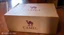骆驼（CAMEL）【漫游】运动鞋新款女鞋网面透气复古休闲百搭厚底增高慢跑步鞋子 实拍图