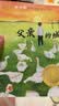 冰心奖获奖作家精品书系（全10册）小学生课外读物 11-14岁图书 四五六年级儿童文学书籍  实拍图