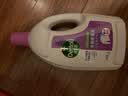 滴露（Dettol）衣物消毒液除菌薰衣草3L衣服消毒水99.9%杀菌除螨内裤 需搭洗衣液 实拍图