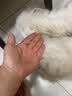 instinct天然百利进口狗粮经典无谷鸭肉梨小型犬粮10磅/4.5kg 实拍图