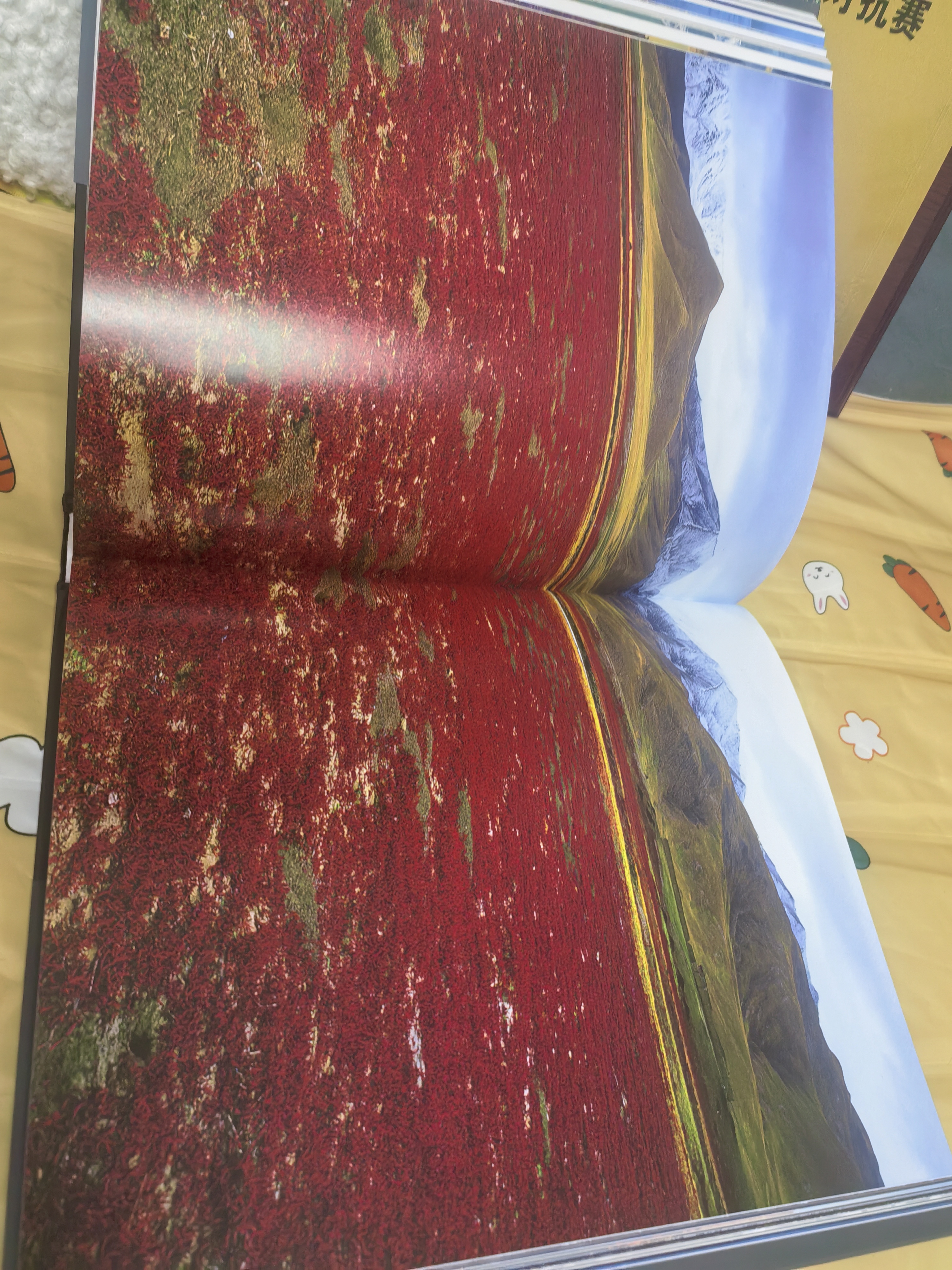 中国国家地理极致之美 中信出版 美丽地球自然风景摄影集图册画册图书 晒单实拍图