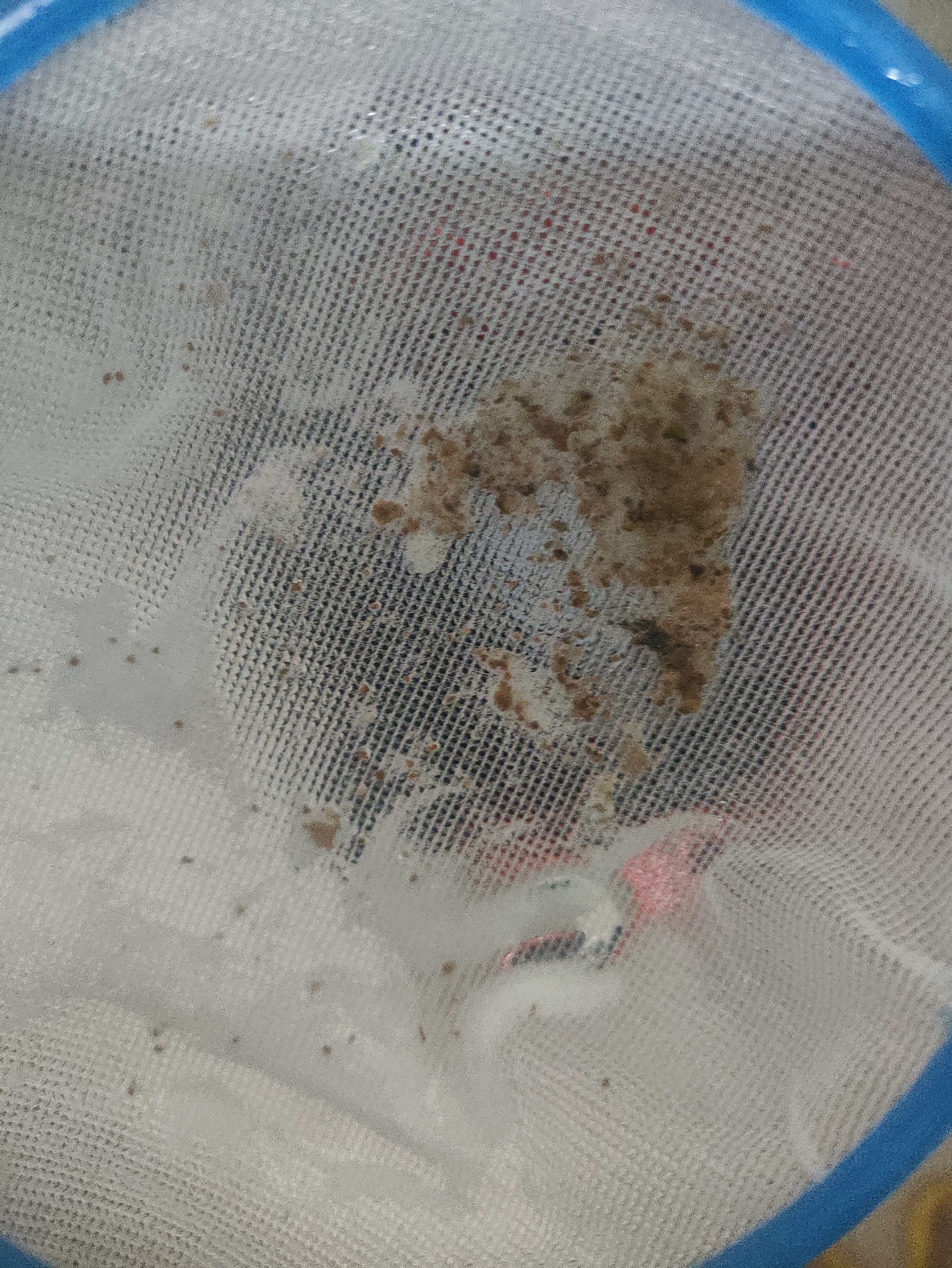 老管家洗衣机清洁剂375g*3盒波轮滚筒式洗衣机清洗剂强力除垢杀菌 实拍图