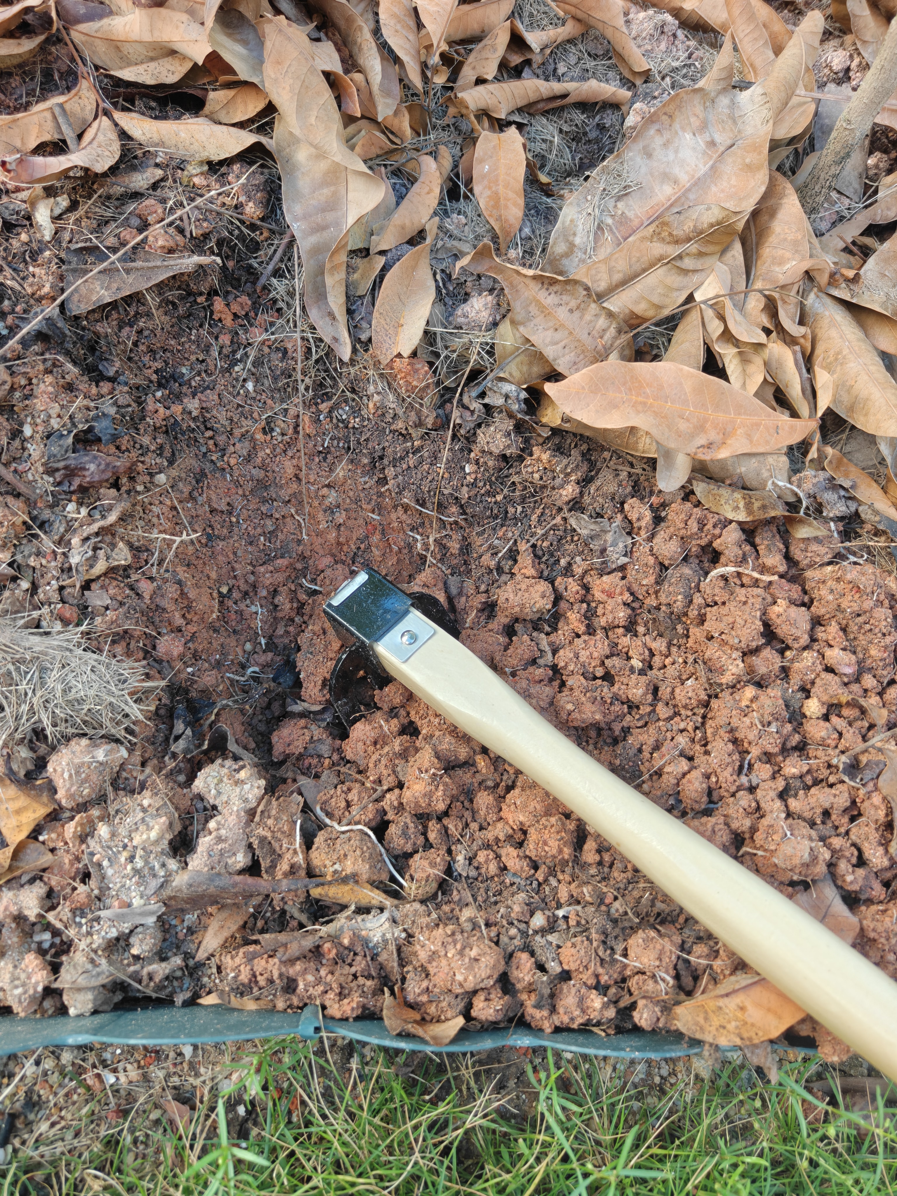 德沃多碳钢四齿锄耙木柄农用耙子家用园艺种植种花松土除根赶海工具套装 实拍图