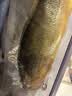 鲜京采 冷冻三去黄花鱼(宁德大黄鱼)1700g(5条装)节庆礼盒 京东自有品牌 实拍图