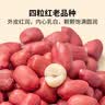 方家铺子中华老字号 花生米2斤 红皮生花生米 东北四粒红五谷杂粮粗粮真空 实拍图