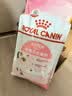 皇家猫粮 幼猫猫粮 幼猫奶糕 K36 通用粮 4-12月 2KG【宠物金选】 实拍图