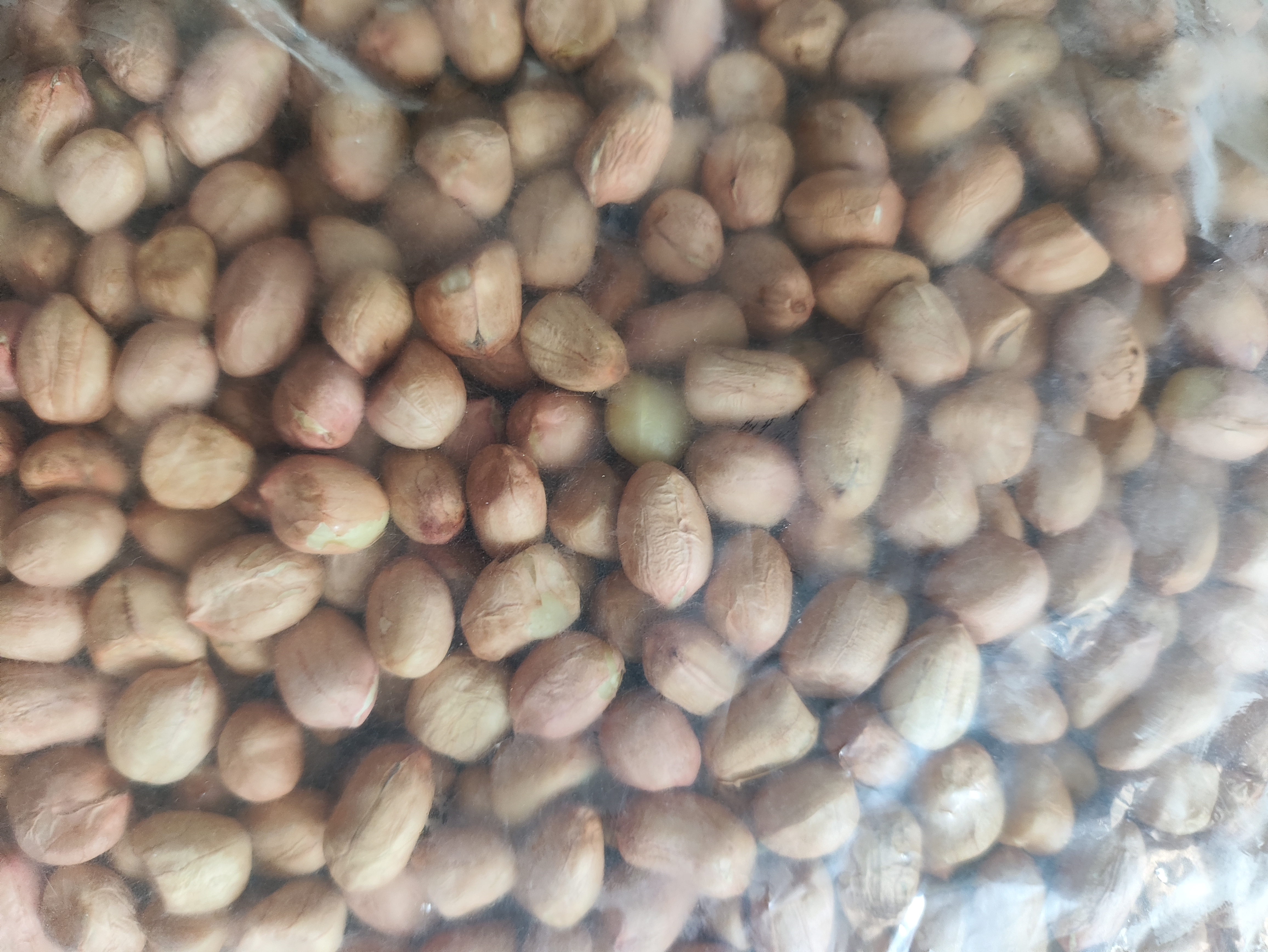现剥新白沙花生米五谷杂粮粒大米新货花生粉皮大粒花生米无壳 精选大粒1斤装 净重500g 实拍图
