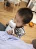 贝肽斯保温杯儿童幼儿园水杯6个月以上吸管学饮保温奶瓶 雍措映蓝300ML 实拍图
