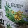 伊利【新鲜日期】金典纯牛奶 200ml*12盒 3.6g乳蛋白礼盒装 实拍图