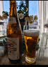麒麟（Kirin）一番榨 黄啤酒 600ml*12瓶 整箱装京东自营 实拍图