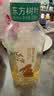 农夫山泉东方树叶桂花乌龙茶335ml*24瓶无糖茶饮料0糖0脂0卡【金秋限定】 实拍图