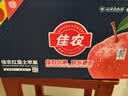 佳农烟台红富士苹果 净重10斤大果 果径80-85mm  生鲜水果 源头直发 实拍图