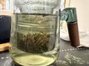 竹叶青茶叶高山茉莉花茶100g峨眉山花茶 双瓣茉莉花茶 实拍图