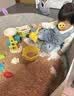 糖米 TEMI儿童沙滩玩具挖沙工具车搅拌沙滩车洒水壶海边玩沙套装男孩女孩 17件套【配双沙铲+沙滩桶】 （加大加厚） 实拍图