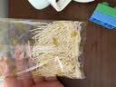 爷爷的农场高钙铁锌鸡蛋面480g 用黄天鹅鸡蛋手工日晒宝宝面条辅食儿童早餐 实拍图