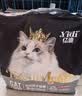 亿迪猫粮冻干幼猫成猫10斤全价英短蓝猫布偶老年猫国产通用全阶段5kg 实拍图