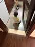 ubras【2件装】无尺码免拆V领内衣女背心美背粉底液文胸透气无痕隐形 燕麦奶色+黑色 实拍图