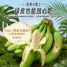 佳农厄瓜多尔进口香蕉净重4斤（约10-12根）单根蕉 生鲜水果 包邮 实拍图