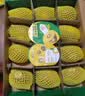 佳沛（zespri）新西兰金奇异果12粒特大果124-146g猕猴桃水果礼盒 实拍图
