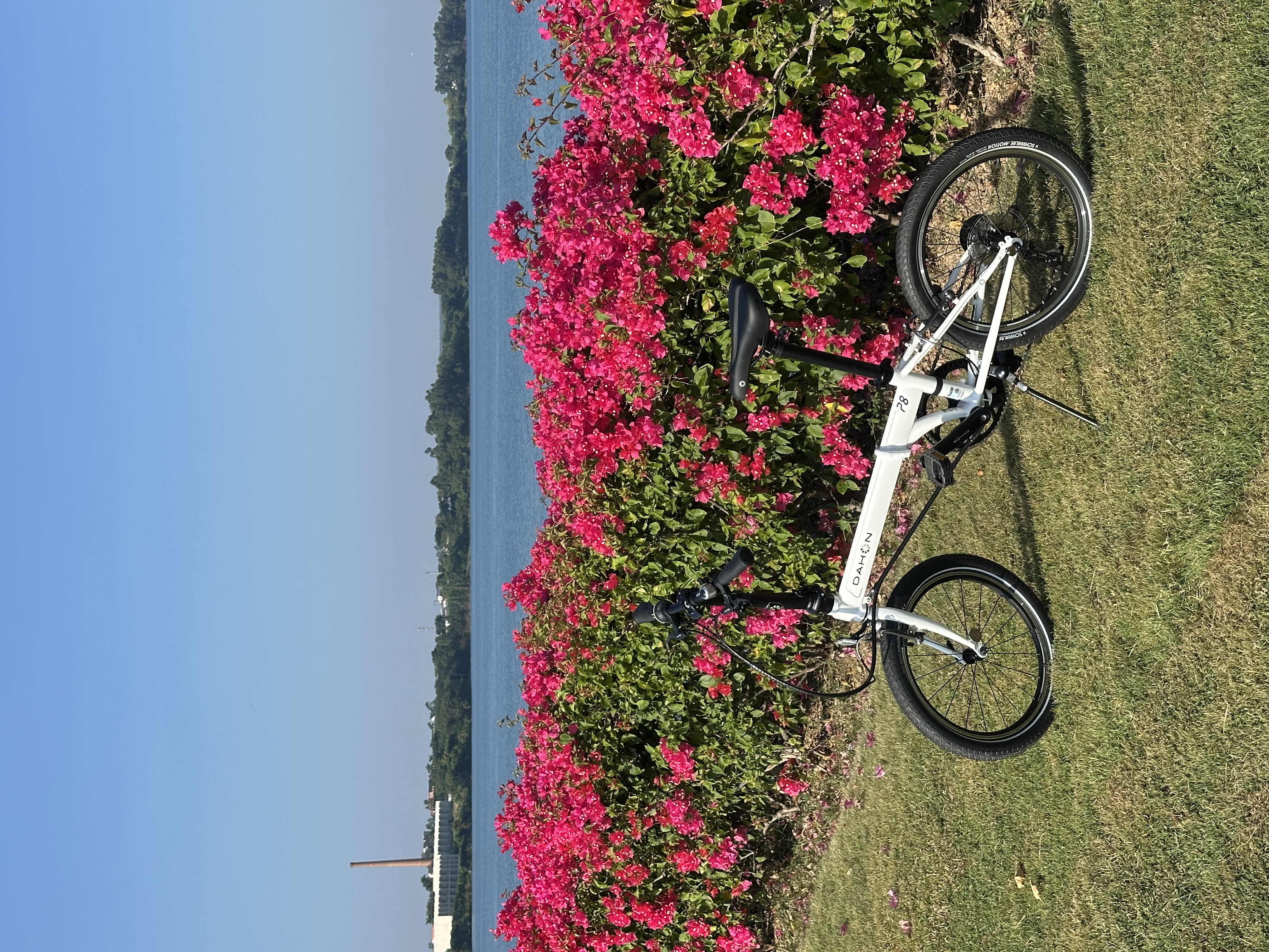 大行（DAHON）P8折叠自行车20英寸8级变速单车KBC083 白色经典版--京仓 实拍图