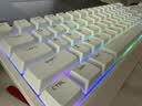 迈从（MCHOSE）Ace 68 V2磁轴键盘Gus同款RT电竞游戏低延迟60pro机械有线68键配列FPS双驱动无畏契约 Ace 68 电竞版 白色 蓝冰磁轴 实拍图
