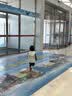 维生素AD滴剂（胶囊型）50粒1岁以上 3盒 维生素d d3 ad伊可新儿童3-12岁青少年6-13岁助长高促钙吸收11-17岁 实拍图