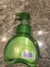 蓝月亮 儿童泡沫洗手液(青苹果香)200ml 宝宝专用 泡泡丰富 滋润护手 实拍图