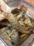 渔公码头韩式生腌虾虾泰式甜辣虾生呛虾预制菜三种口味虾组合 【2盒装】生呛虾+韩式辣酱虾1450g(净重) 实拍图