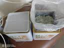 贡苑莓茶280g 正宗张家界莓茶特级野生2026新茶芽尖高山永顺霉茶藤茶 实拍图