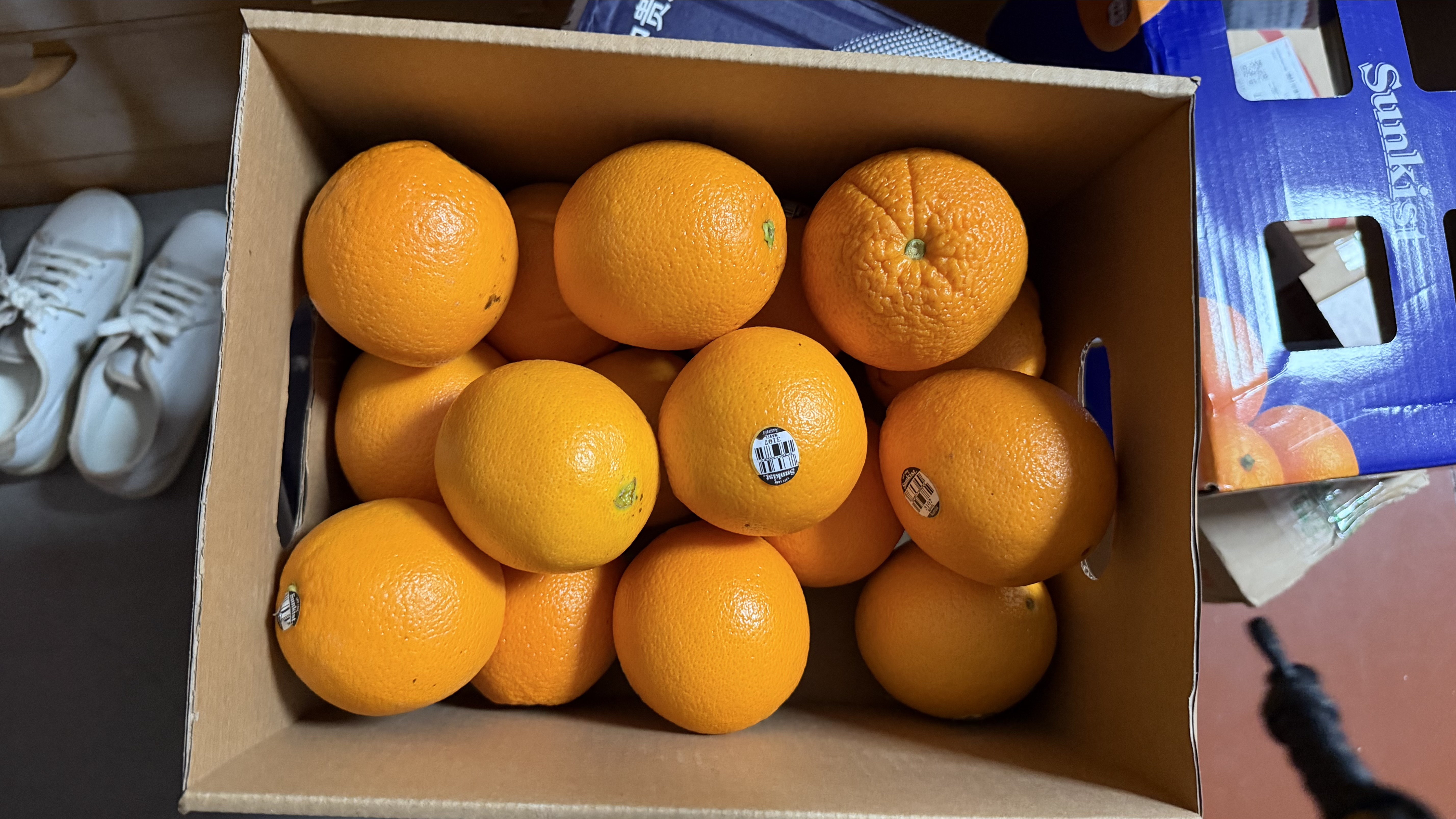 新奇士（Sunkist）澳大利亚黑标晚熟脐橙 8斤礼盒装 单果220g起 新鲜水果生鲜礼盒 实拍图