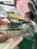 TRINOLONE ORAL PASTE戴挪伦泰国NIDA口腔膏溃疡上火起泡口腔护理抑菌凝胶 两支装 实拍图