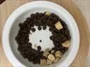 力狼猫条猫咪零食幼猫成猫宠物罐头猫咪汤包湿粮 【力荐箱装】5种口味15g*80支 实拍图