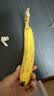 黄胖子进口香蕉650g 实拍图