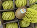 佳沛（zespri）新西兰金奇异果10粒巨大果146-175g猕猴桃水果礼盒 实拍图