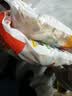 思念玉米蔬菜猪肉蒸煎饺1kg*2袋约100只锅贴蒸饺速食速冻营养早餐 实拍图