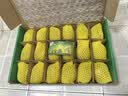 佳沛（zespri）新西兰金奇异果22粒巨大原箱146-175g猕猴桃水果礼盒 实拍图