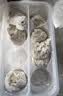 东来顺羊肉大葱纸皮烧麦320g8只 内蒙清真手工烧卖早餐半成品速冻速食 实拍图