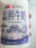 卫岗鲜牛奶 原生A2β-酪蛋白鲜奶260mL*6瓶 巴氏杀菌 亲和好吸收 实拍图