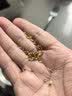 艺福堂花草茶2026新花精选桂花50g 金桂干花可熬酱无熏硫养生泡酒搭红茶 实拍图