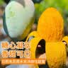 京鲜生云南凯特 净重8斤装 单果600g+ 新鲜芒果水果 源头直发包邮 实拍图