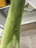京鲜生云南高原龙芽白菜净重5斤 新鲜采摘只留菜心源头直发 实拍图
