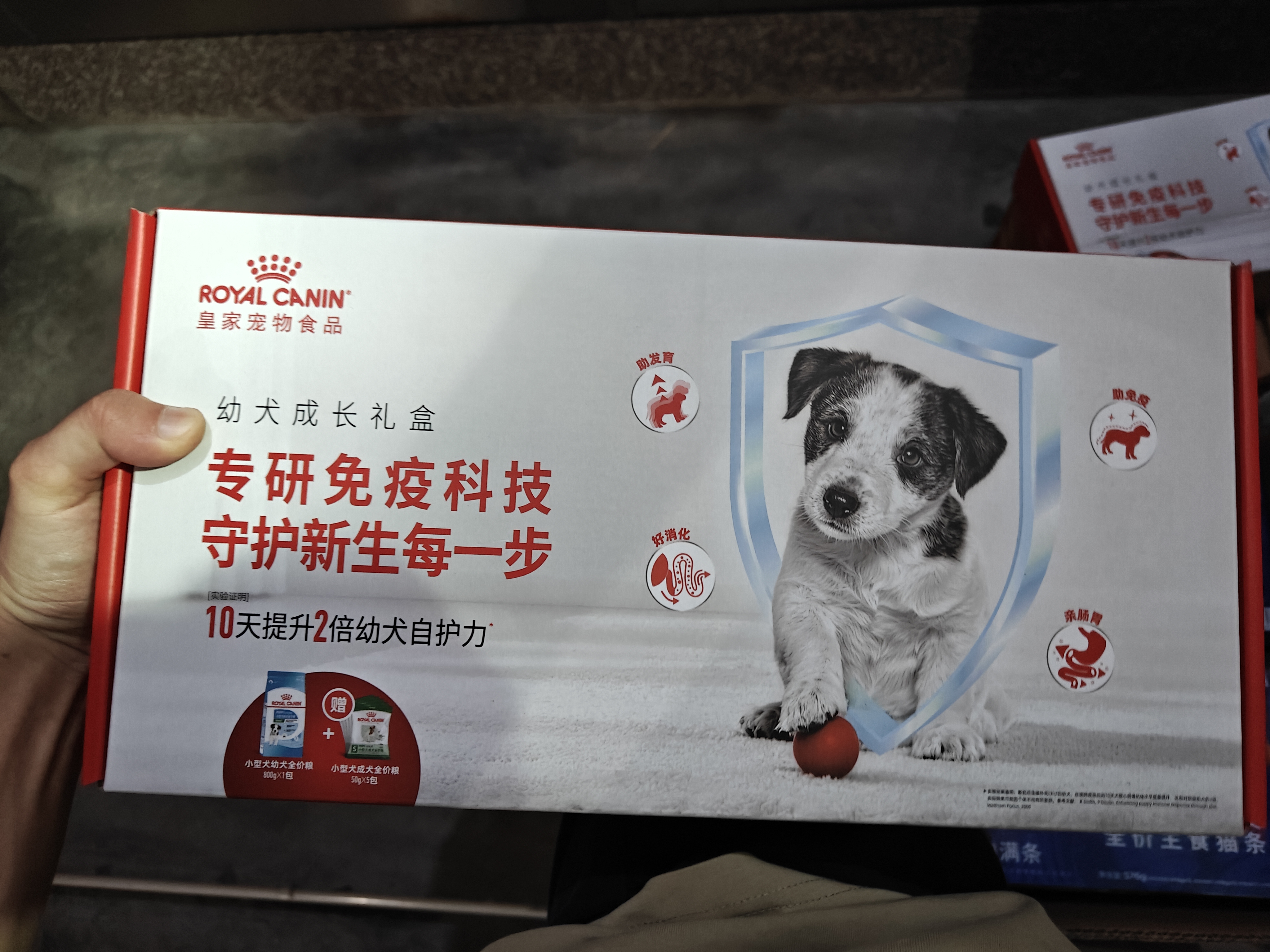 皇家狗粮幼犬成长礼盒（幼犬粮 800g+成犬粮 50g*5）小型犬 泰迪 贵宾 实拍图